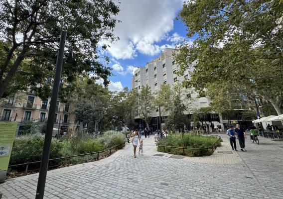 Zöldfelületeink klímapozitív tervezése